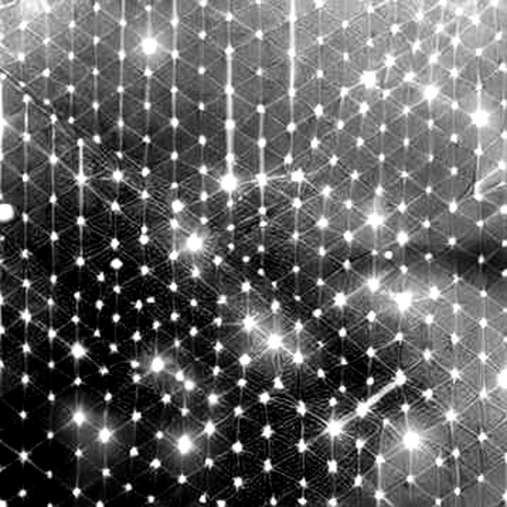 The Illusion of Resilience: Why PI Token's Bounce is a Siren Song in a Macro-Driven Market The Illusion of Resilience: Why PI Token's Bounce is a Siren Song in a Macro-Driven Market