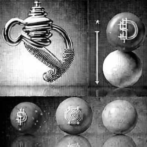 The Great Bitcoin Bottom Discord: When Technical Hope Meets Structural Fear The Great Bitcoin Bottom Discord: When Technical Hope Meets Structural Fear