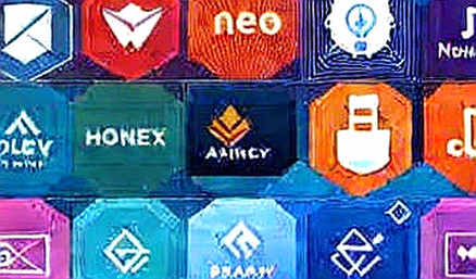 Seven Days to Leave: A Bear-Market Autopsy of the Rollup Economy