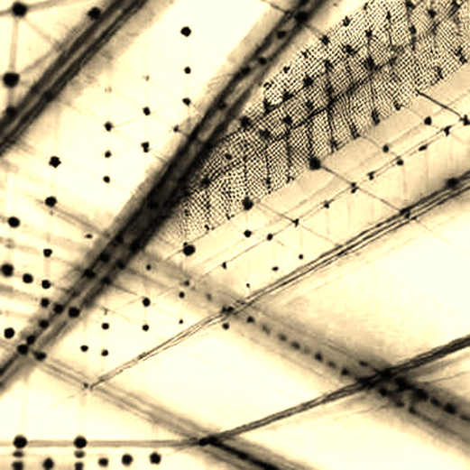 Bank of Korea’s Warning: The Central Bank That Audited Leverage Like a Smart Contract Bank of Korea’s Warning: The Central Bank That Audited Leverage Like a Smart Contract