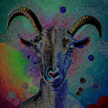 The 64.5% Illusion: On-Chain Data Reveals the Gap Between Hype and Reality in the Messi-Yamal Succession Narrative