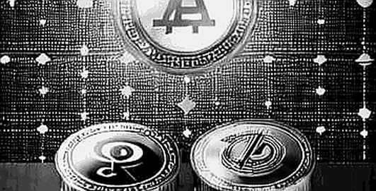 The Asymmetry Is the Crime: Senators Push the SEC to Investigate the Trump Meme Coin The Asymmetry Is the Crime: Senators Push the SEC to Investigate the Trump Meme Coin